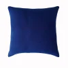 Blancheporte Housse Coussin Unie Coton Tissage Artisanal – Lot De 2 Paris 25