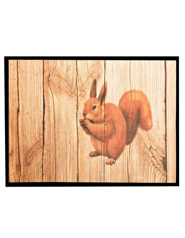Blancheporte Tapis Anti-poussière Motif écureuil qualité d’originales 1