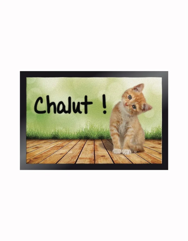 Blancheporte Tapis Anti-poussière Motif Chatons outlet soldes 1